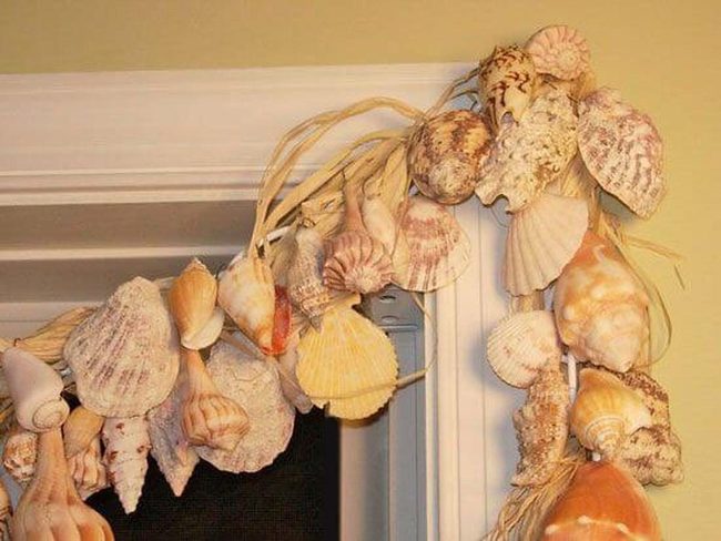 Cream Shell Strands Ocean Energy