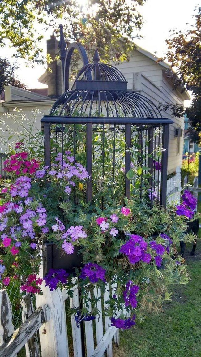 Purple Petunias In Hanging Birdcage