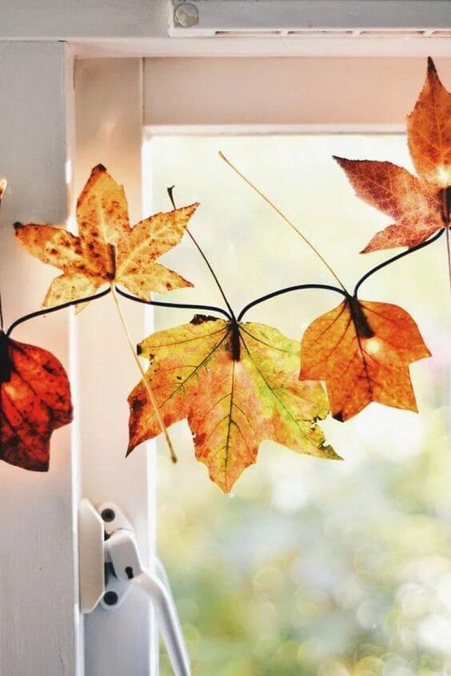 Autumn Warmth Through Natural Layers
