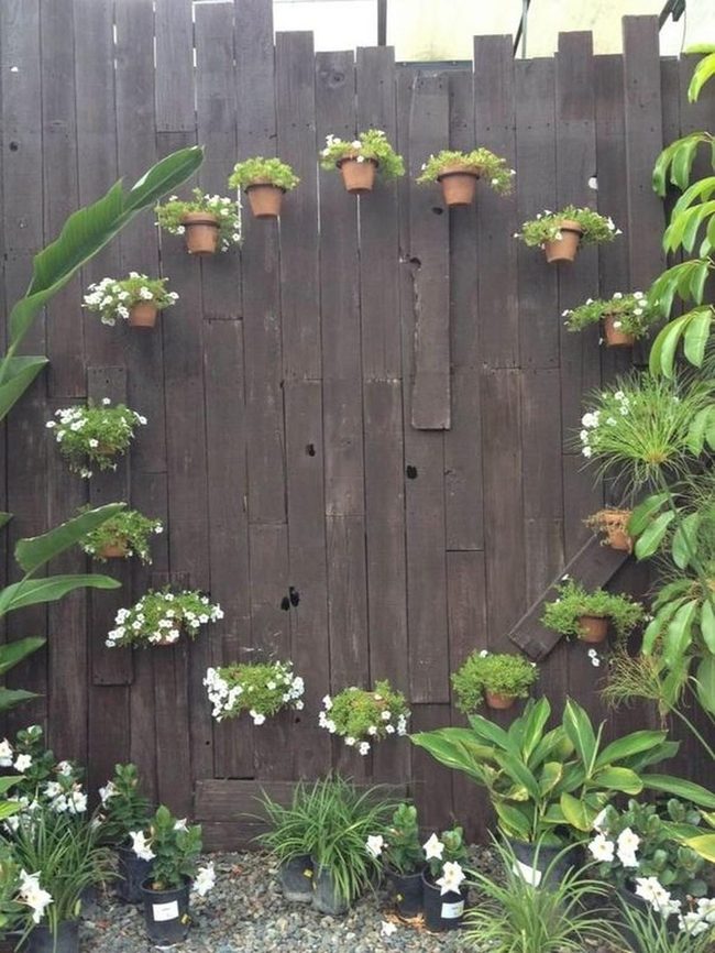 Dark Wood Garden Corner With White Flowers