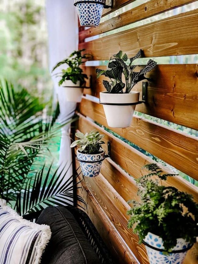 Wooden Walls With Living Plants