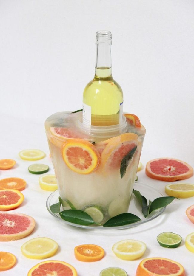 Citrus Ice Cube Refreshment