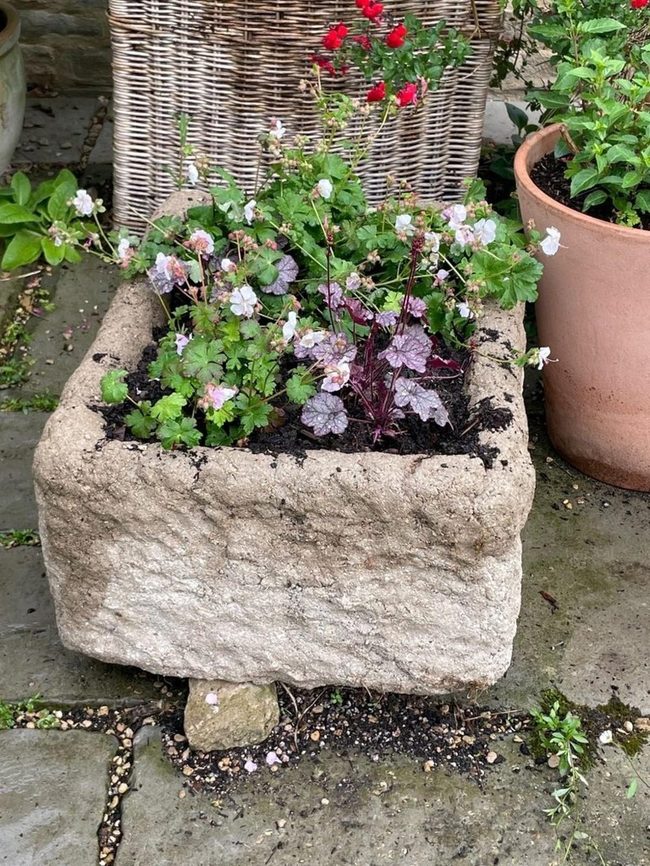 Stone, Terracotta, Red Blooms