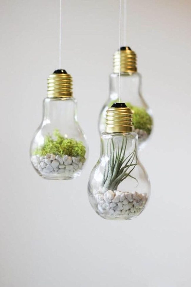Transparent Glass Planters Gold Accents