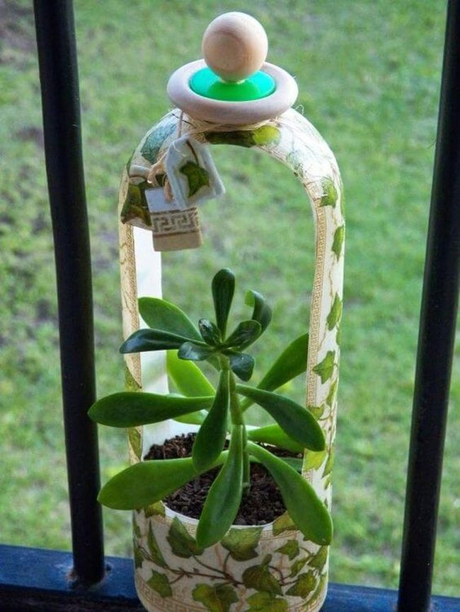 Colorful Bottle Succulent Planters