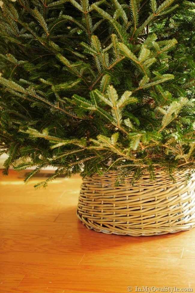Green Branches, Golden Wood Floors