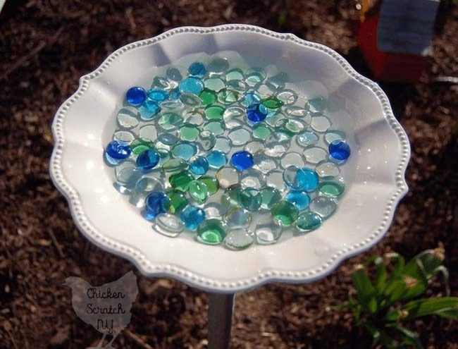 White Dish Blue Stone Butterfly Station