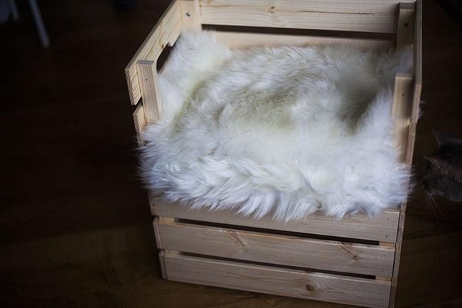 Light Wood Crate With Fur