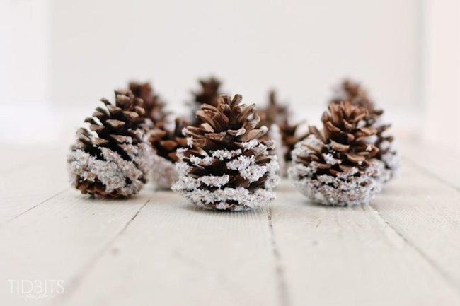 Brown Pine Cones White Wood