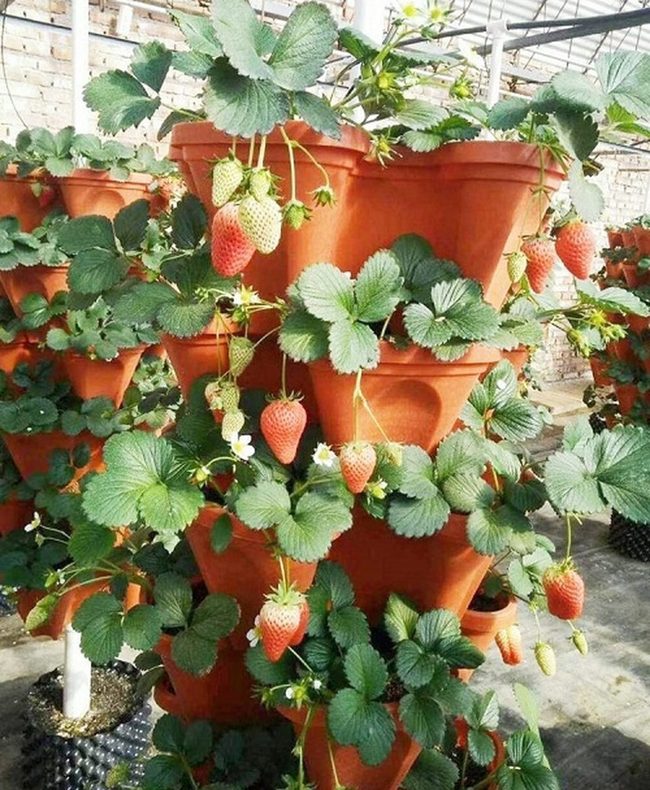 Stacked Terracotta Garden Vertical