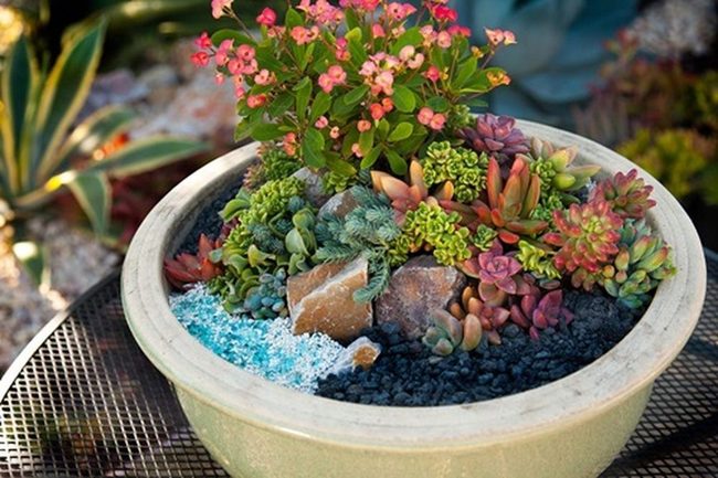 Ceramic Pots Miniature Desert Garden