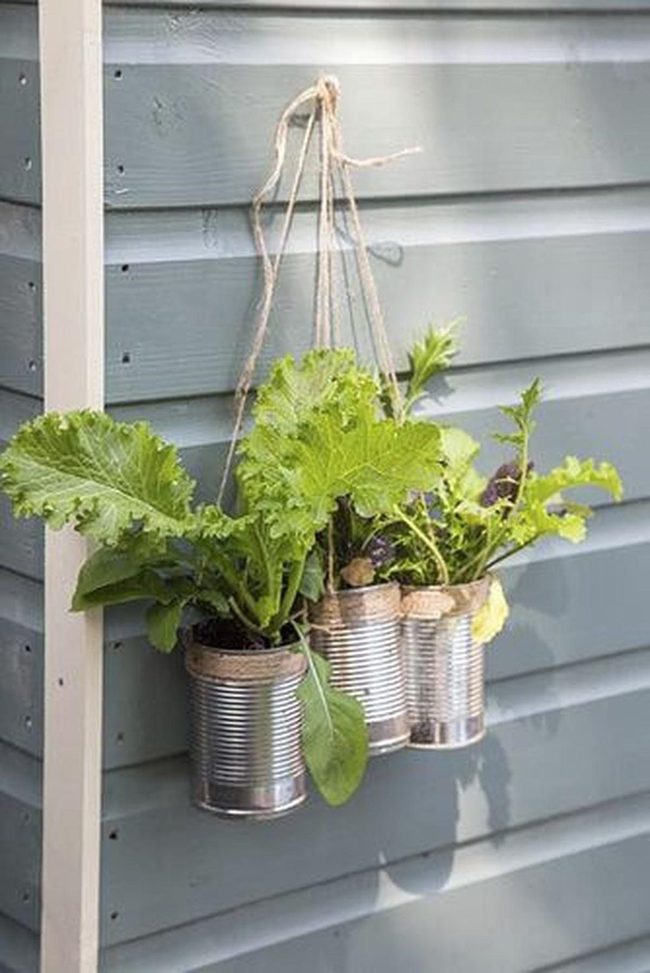 Vertical Tin Herb Wall
