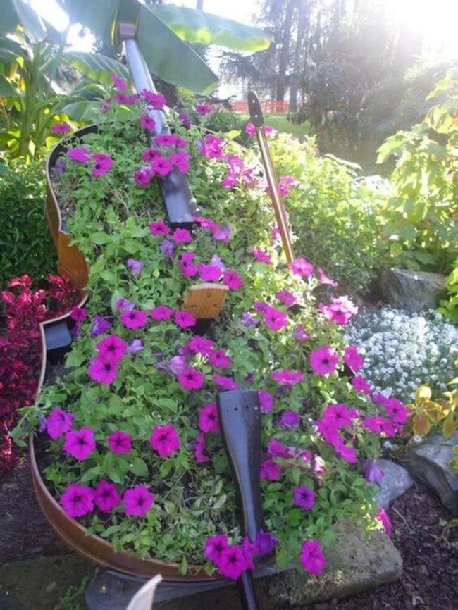 Guitar Body Blooms