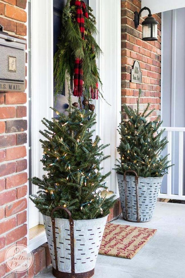 Potted Evergreen Porch Welcome