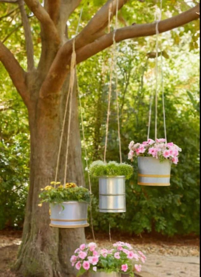 Hanging Herbs Float Overhead