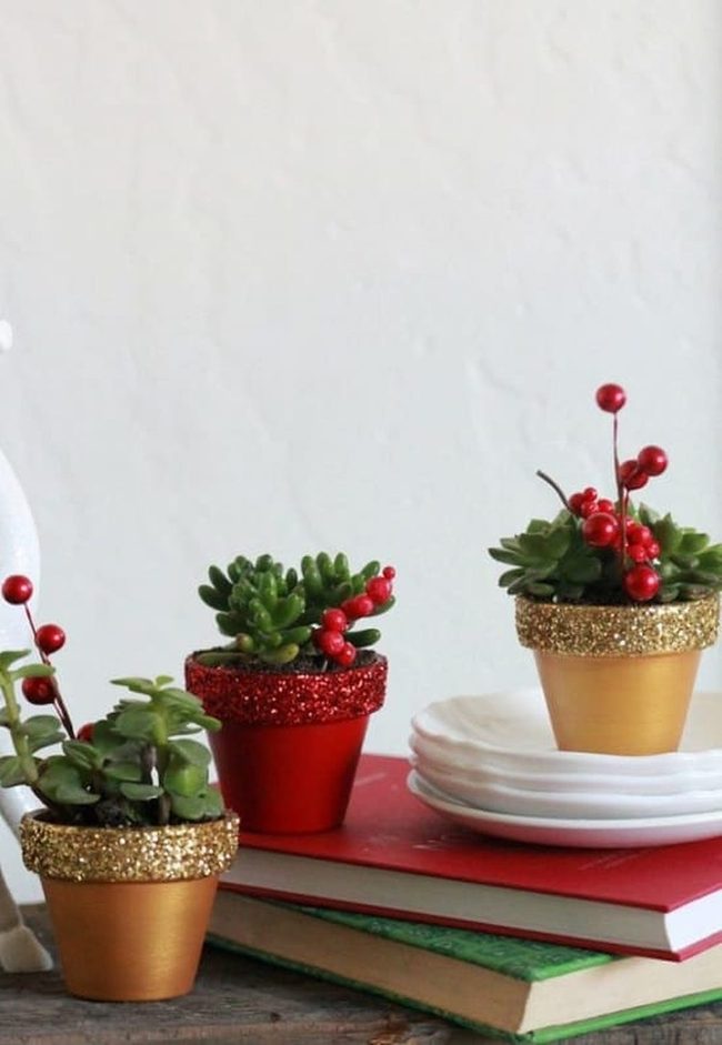 Glittery Succulent Pot Perfection