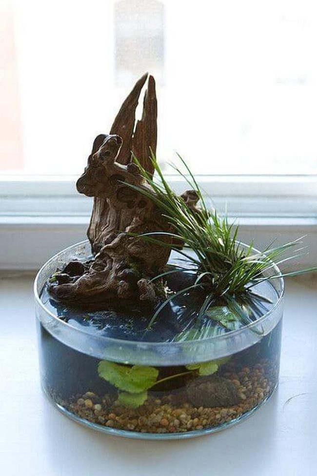 Flowing Water Desktop Wellness