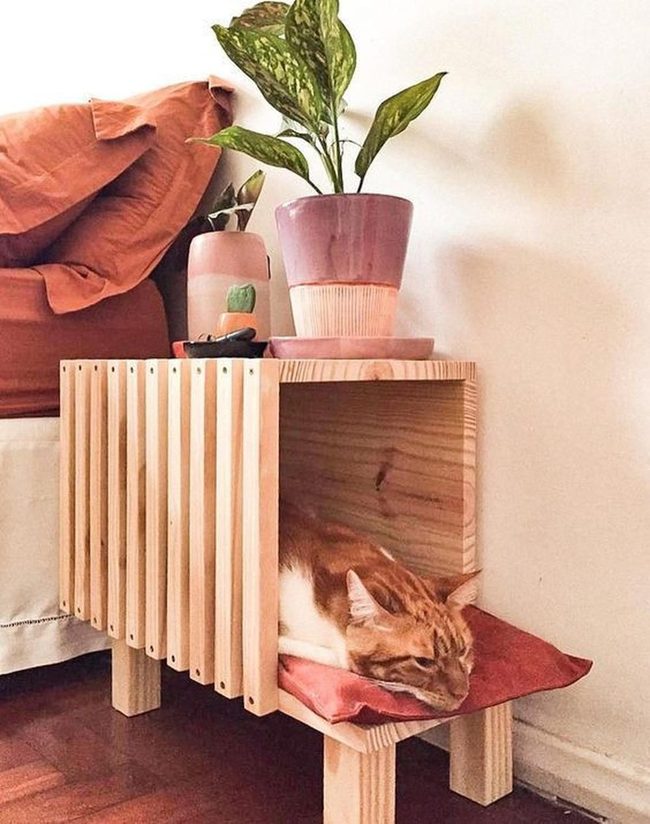 Vertical Climbing Spaces For Cats