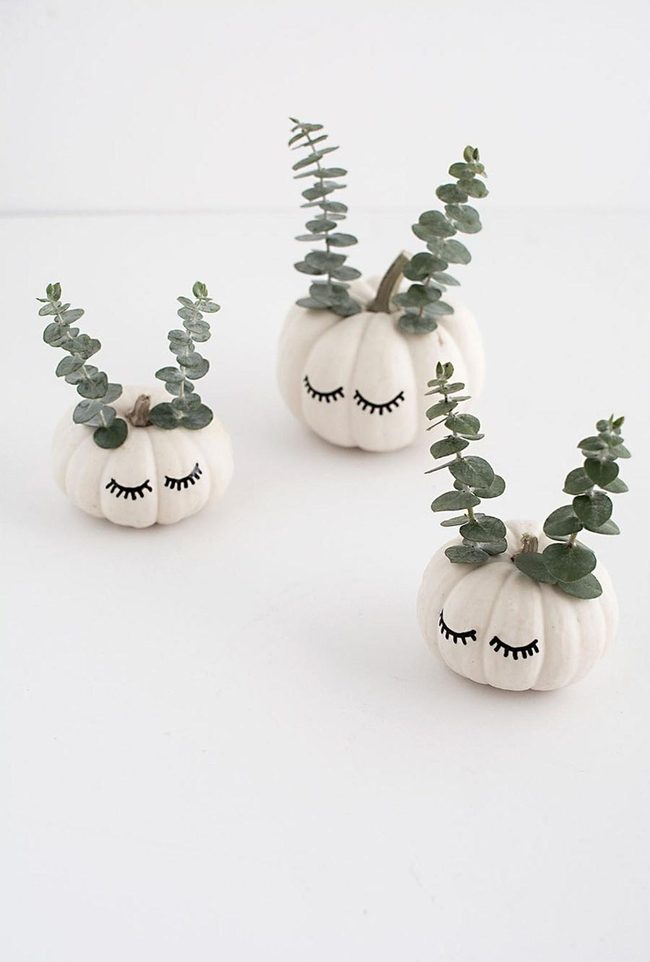 Sleepy White Pumpkins Black Lashes