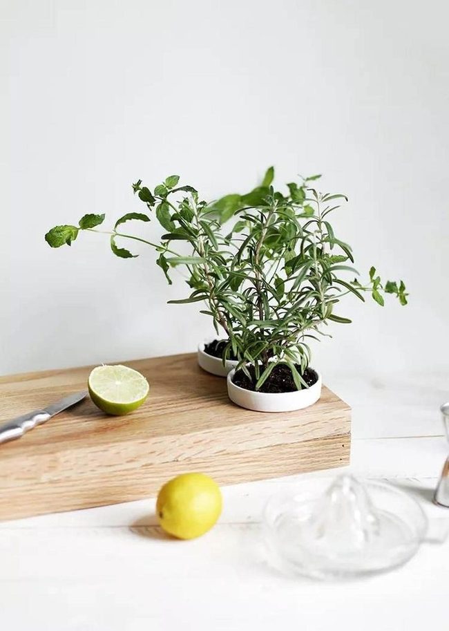 Fresh Herbs At Your Fingertips