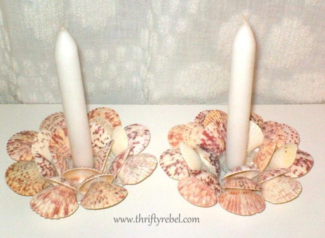 Seashell Candlelight Ocean Texture