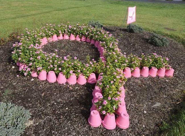 Pink Pots Spell Purpose