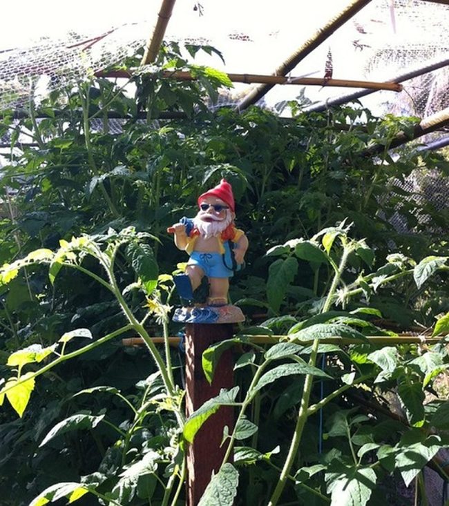 Ceramic Garden Sentinel Brings Whimsy