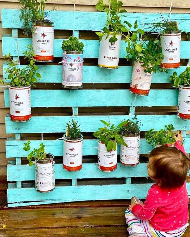 Painted Coffee Tins Growing Herbs