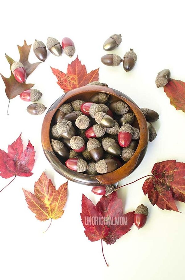 Red And Gold Painted Acorns