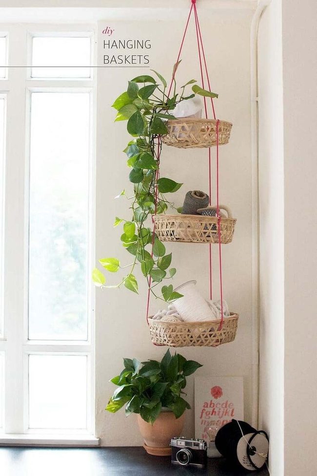 Wicker Baskets Green Vines Workspace