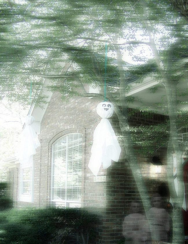 White Ghosts Hanging From Trees