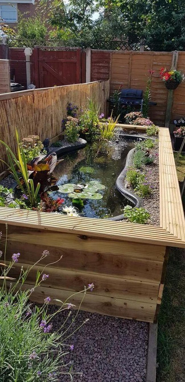 Backyard Pond With Wood Frame