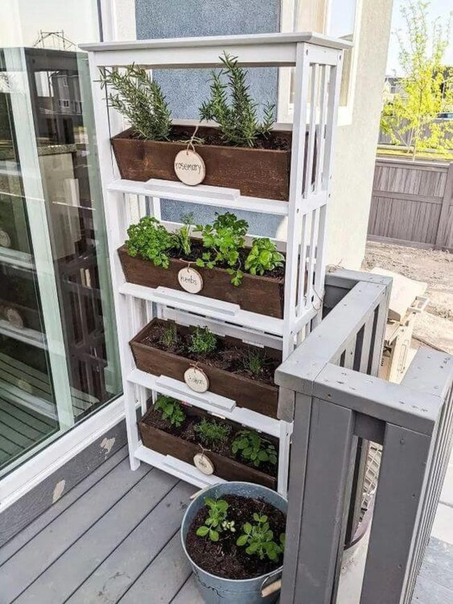 Fresh Herbs Stacked Tower