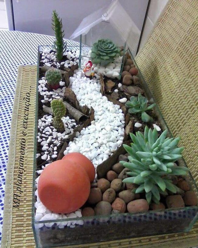 White Stones, Green Plants, Tiny Worlds