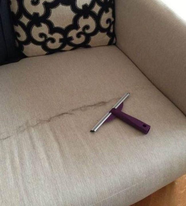 Squeegee Pet Hair Removal Hack