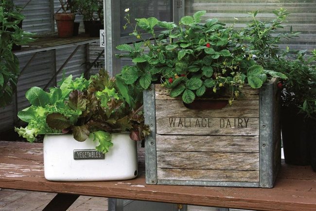Reclaimed Containers, Zero Waste Style