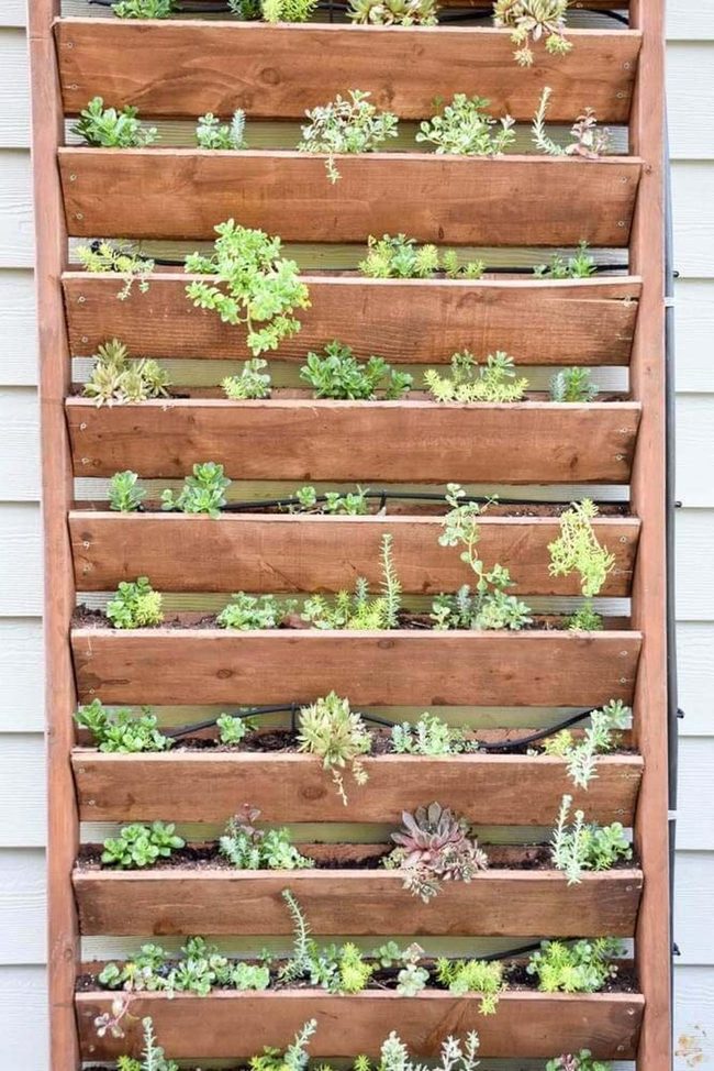 Vertical Garden Blooms Everywhere