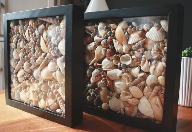 Framed Seashells Ocean Wall Art