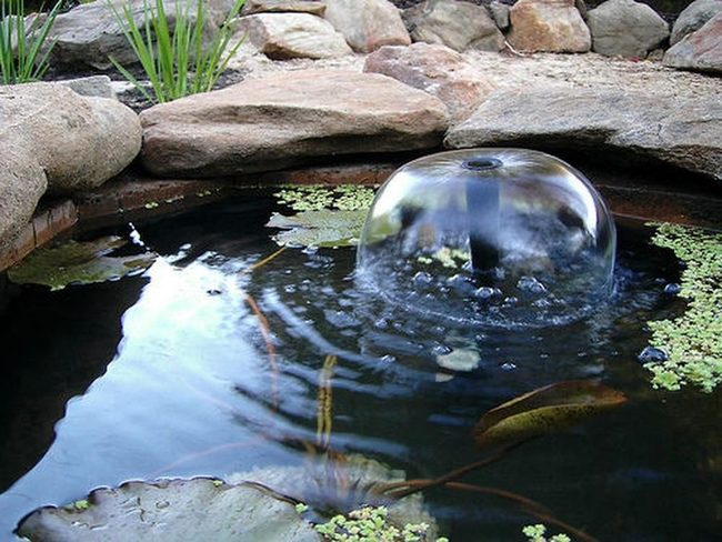 Fountain Surrounded By Lily Pads