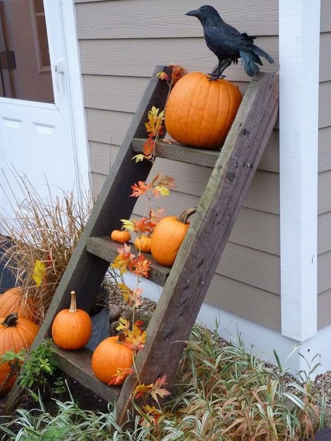 Orange Pumpkins Black Crow Ladder