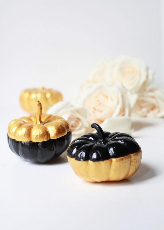 Golden Miniature Pumpkins Shine