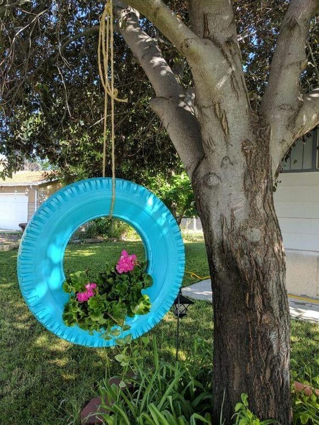 Recycled Blue Rings Growing Flowers