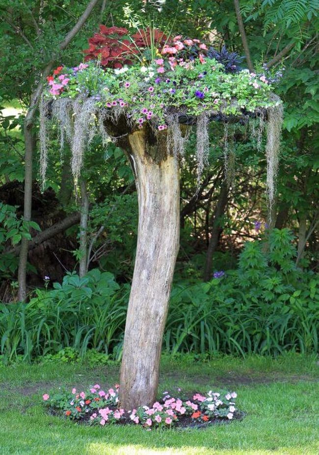 Wooden Log Pedestal Bursting Blooms