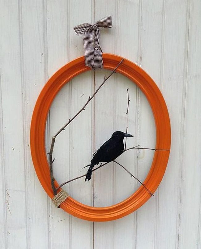 Orange Circles Frame Natural Branches