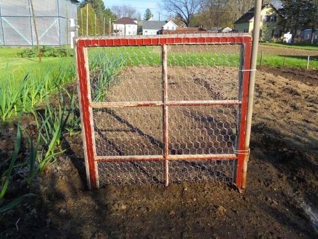 Vintage Window Climbing Trellis