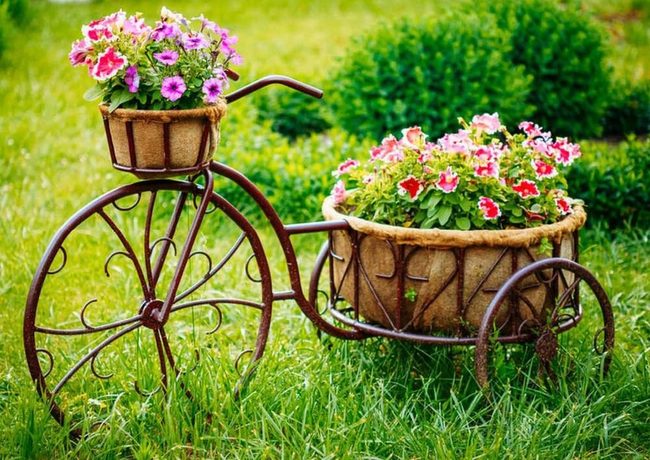 Iron Bicycle With Seasonal Blooms