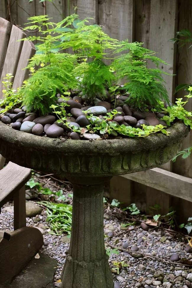 Stone Birdbath Garden Retreat