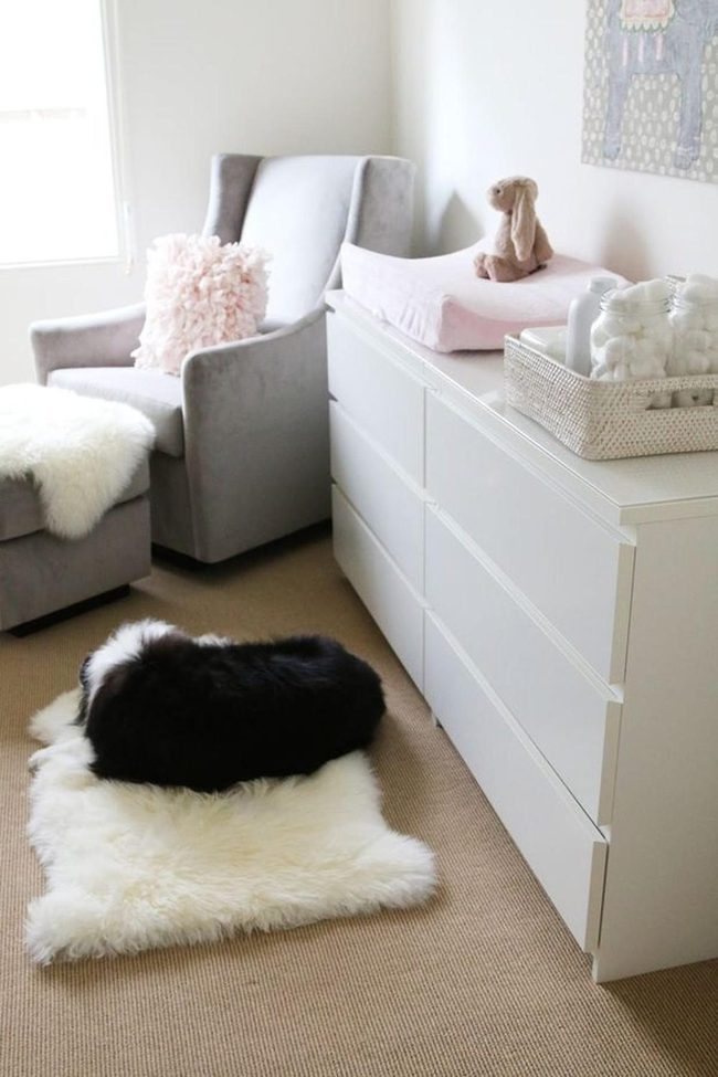 Black And White Dog Room