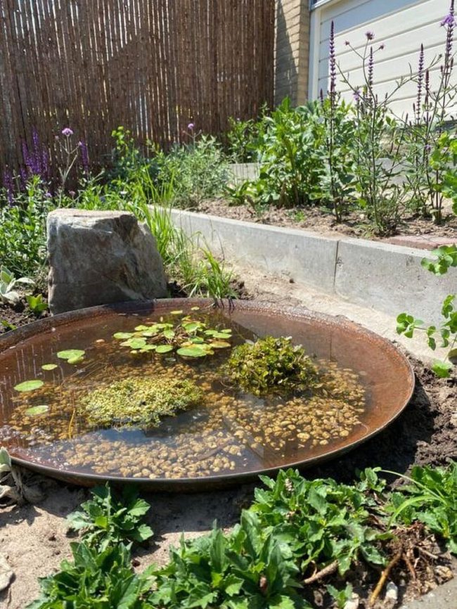 Rust Metal Water Garden