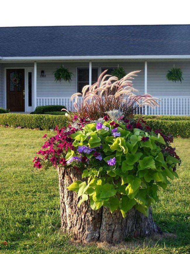 Stump Flowers Frame Porch